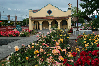 Petaluma Visitors Center, building, flowers