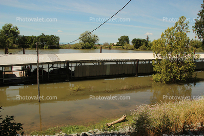 Sacramento River, Freeport, Sacramento County