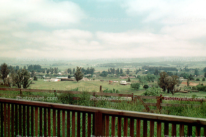 overlooking Cotati into Penngrove, from my Rose Avenue House, Maryleece lane, April 1975