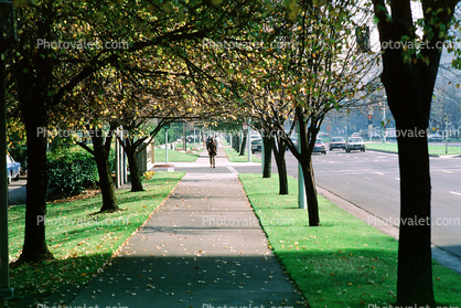 sidewalk, path