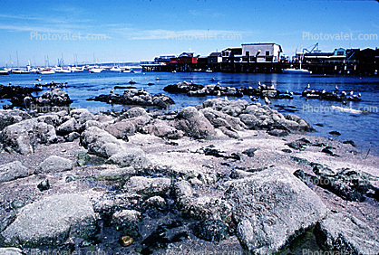 Rocks at Old Fishermans Wharf, Monterey