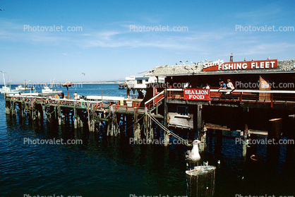 Scenic Fishing Fleet at Old Fishermans Wharf, Monterey