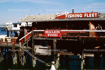 Sam's Fishing Fleet at Old Fishermans Wharf, Monterey