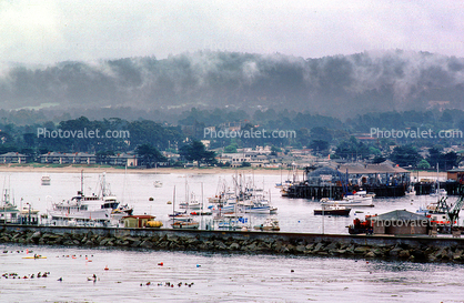 Harborm, Hills, Boats, Monterey Shoreline, Shore