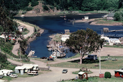 Trees, Dock, Harbor, Albion River, Mendocino County, 12 May 1986