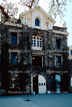 building, ivy, door, Napa Valley, Inglenook Winery, mansion, landmark, 11 April 1987
