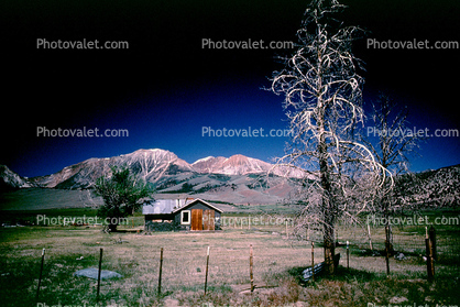 Eastern Sierra-Nevada Mountain Range