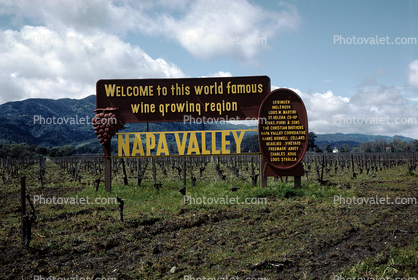 Welcome to this world famous wine growing region, and the wine is bottled poetry, Napa Valley, 1963, 1960s
