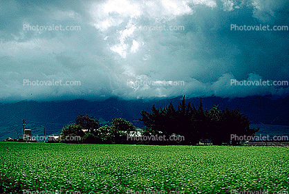 farm field, clouds
