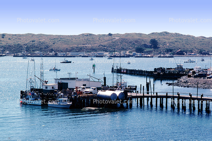 Harbor, Pier, Dock, Bodega Bay, Sonoma County, Coast