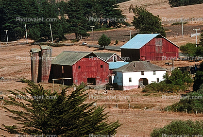 barn, silo, outdoors, outside, exterior, rural, building, Tomales, Marin County