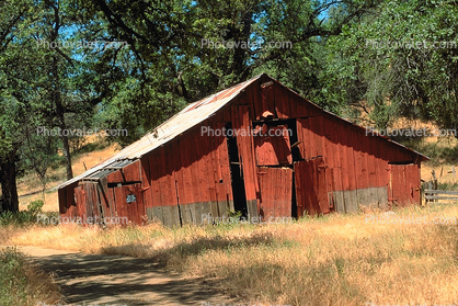 barn, summer, hot day, sunny, dry, outdoors, outside, exterior, rural, building