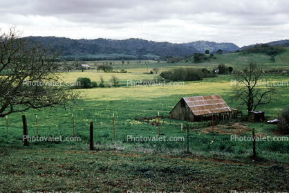 Barn, Rural, Fence, near, Fairfield, 1974, 1970s