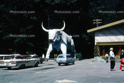 Babe, cars, Ford Mercury, Oxen, horns, 1950s