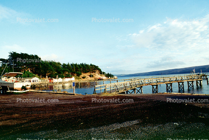 Pier, Dock, Marshall, Marin County, Tomales Bay