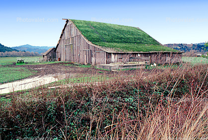 Barn Building, rural, sod roof, grass