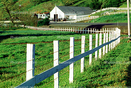 Barn, Fence, fields, rural, Marin County