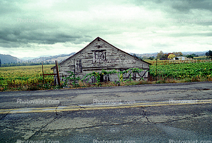 Barn Building, Sonoma County