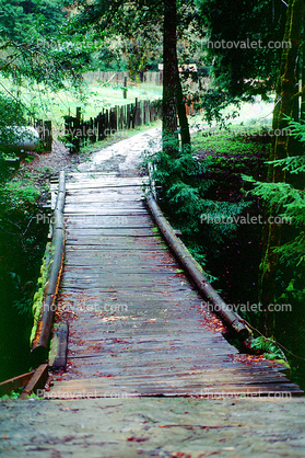 wooden bridge, Mill Valley, Marin County
