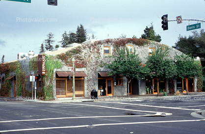 Railroad Square, Santa Rosa, Ivy, Building