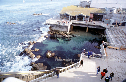 Monterey Bay Aquarium, Cannery Row