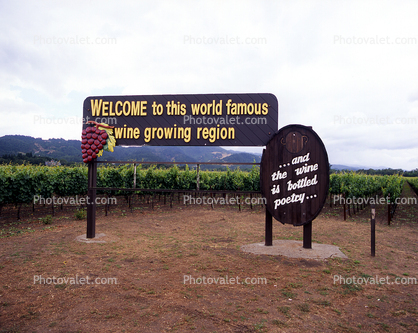 Napa Valley, Welcome to this world famous wine growing region