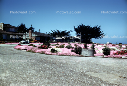 Pacific Grove, Monterey County