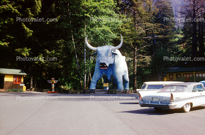 Babe, Blue Ox, Oxen, Paul Bunyan, vehicles, automobiles, Cars, May 1960, 1960s
