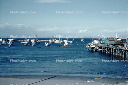 Monterey Harbor, Pier, Fishing Boats, 1950s