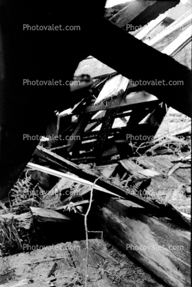 shed falling apart