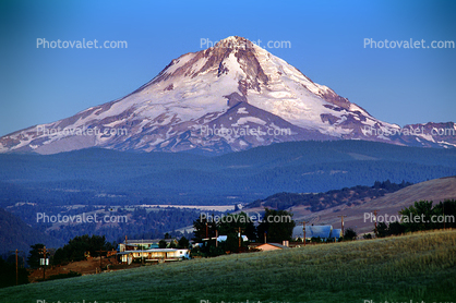 Early Morning Mount Hood, Houses, early morning