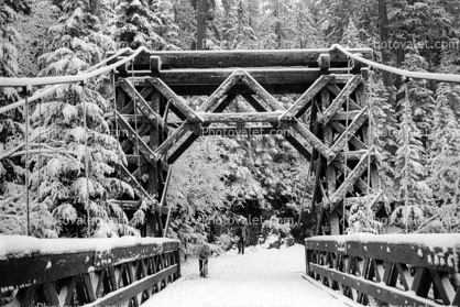 Nisqually River wooden Suspension Bridge, Longmire village, Mount Rainier National Park, Equanimity
