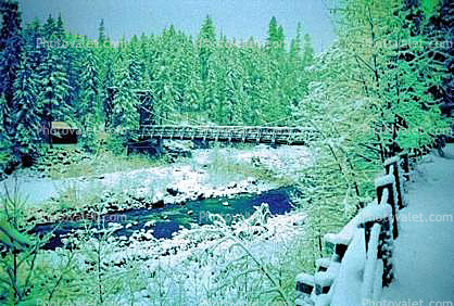 Nisqually River wooden Suspension Bridge, Longmire village, Mount Rainier National Park