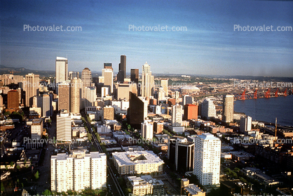 Cityscape, Skyline, Building, Skyscraper, Downtown, Kingdome, Seattle