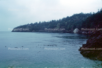 San Juan Islands, Puget Sound