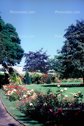 University of Washington Gardens, 1962