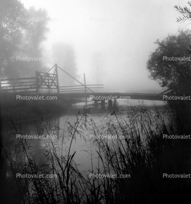 Misty Morning, bridge, fog, trees, Snake River Ranch