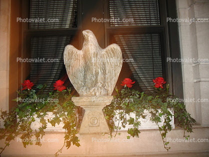 Eagle Statue, bird, Manhattan