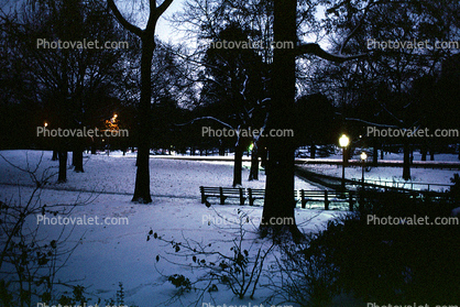 Central Park in the snow, Midtown, Manhattan, winter, wintertime