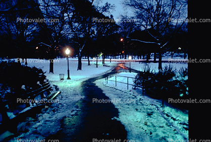 Path, Walkway, Dusk, Central Park, Midtown, Manhattan, winter, wintertime