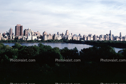Central Park, summer, summertime, buildings, skyline