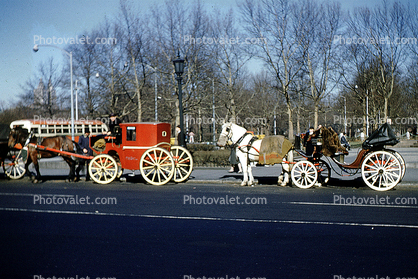 Horse Carriage, autumn, April 1960, 1960s