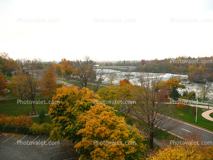Fall Colors, Trees, City of Niagara Falls, River, autumn