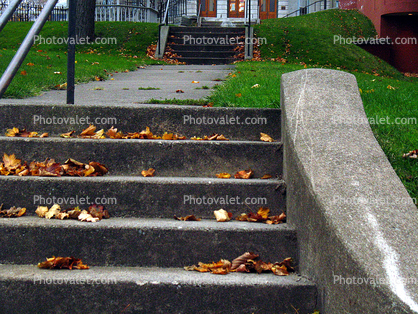 stairs, steps
