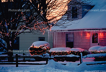 Icy Evening, House, Fence, Bushes, Snow, Christmas Lights, Decorations, Syracuse