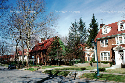 Homes, Street, Forest Hills