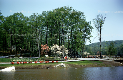 gardens, lawn, trees, lake, pond, Sterling Forest State Park