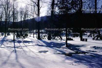 Allegany State Park, Snow, Shadows, January 1966