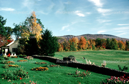 stone fence, lawn, trees, flowers, Fall Colors, tree, woodlands, autumn