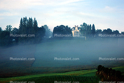 Foggy Morning, Burklyn Hall, Burke, Vermont, Early Morning, Summer